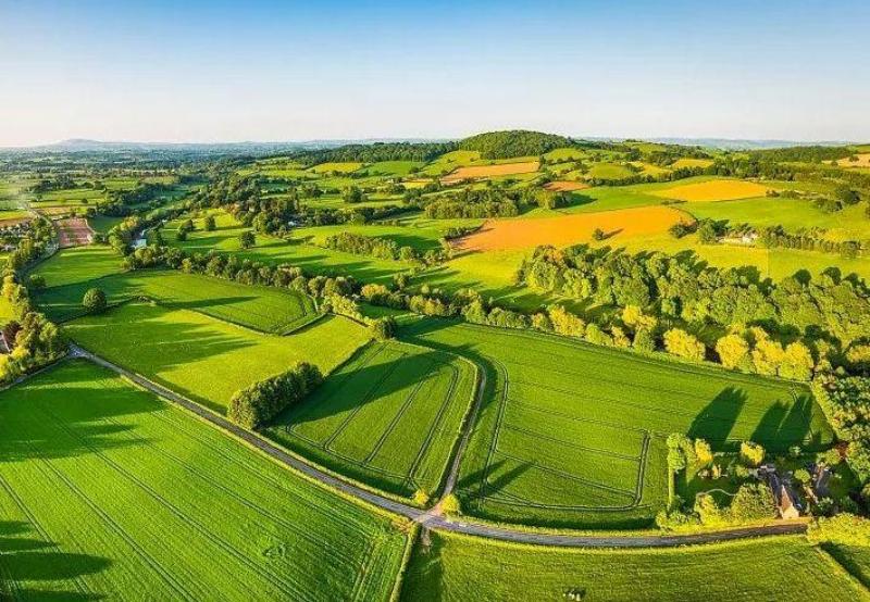 農(nóng)業(yè)(1).jpg 農(nóng)業(yè)(1).jpg