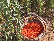 93աĳƷƶλԃĿR󡷈AMĻ