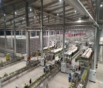 Ƽ˾нO(sh)Ӌl(f)(chung)I(lng)ƼǰءƼИI(y)YԴԃ-ƼИI(y)н꿃Ч-ɶƼИI(y)ԃ