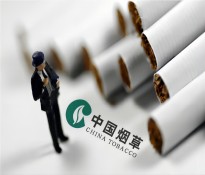 2025ЇИI(y)桾ИI(y)ʮҎ(gu)-ИI(y)(zhn)Ҏ(gu)-ИI(y)YԴ-ɶԃ˾