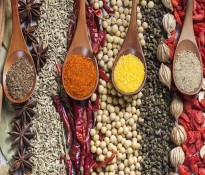 2025Ї(gu){(dio)ζƷИI(y)l(f)չƤ{(dio)ζƷИI(y)I(yng)Nλ-{(dio)ζƷИI(y)ԃ-{(dio)ζƷИI(y)YԴԃ-ɶԃ˾