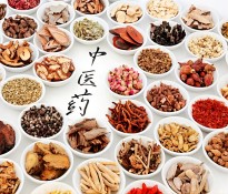 2025ЇˎИI(y)(bo)ƤˎИI(y)IN߄-ˎИI(y)ԃ-ɶԃ˾