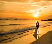 2025Ї鼆zӰИI(y)(bo)桾鼆zӰИI(y)IN߄-鼆zӰИI(y)ԃ-ɶԃ˾