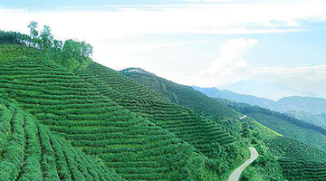 f(wn)@・(zhn)ԠI(yng)Nλɶԃ˾ɽ@\~ИI(y)λԃ-~ИI(y)I(yng)Nλȫ-~ИI(y)(zhn)Զλԃ